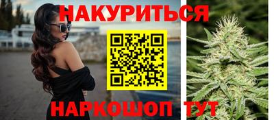 a pvp Гатчина