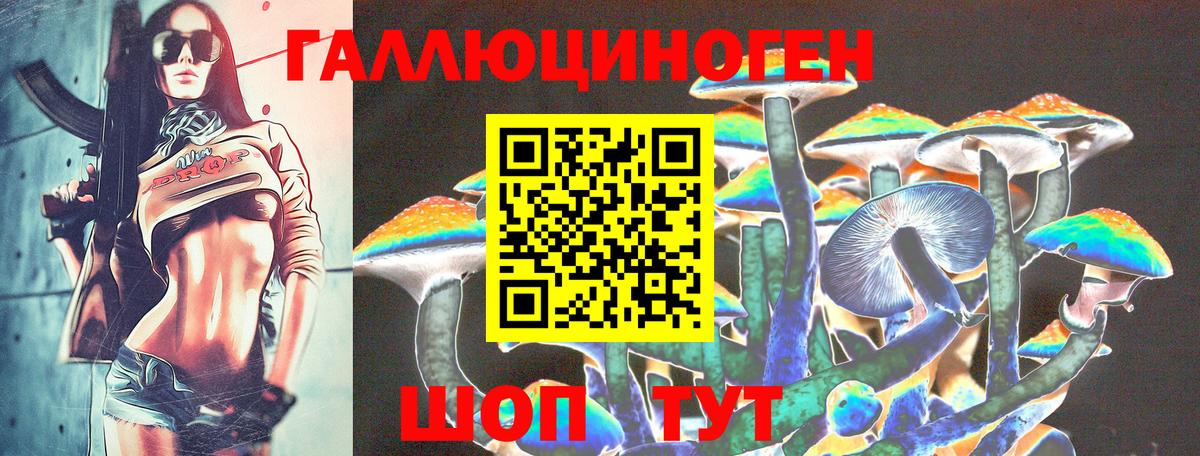 Петропавловск-Камчатский  Галлюциногенные грибы GOLDEN TEACHER  закладка  Вход с VPN 